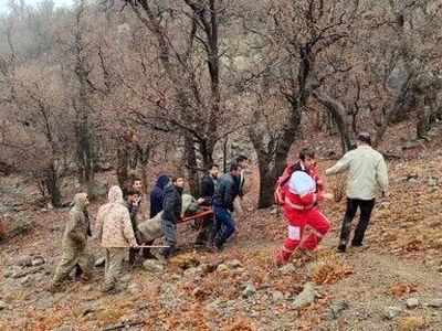 مصدومیت محیط‌ بان پارک ملی دنا در درگیری با شکارچیان 