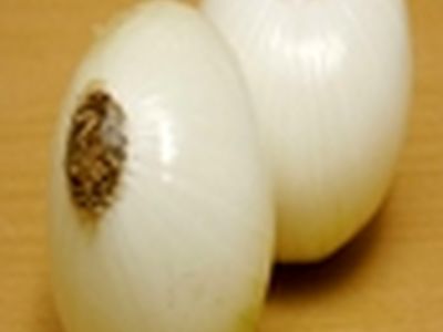 سرمازدگی دوام پیاز را تضمین می‌کند