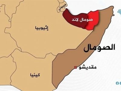 سومالی از لغو همه توافقنامه‌ها با امارات خبر داد