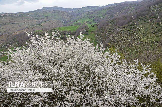 طبیعت بهاری رودبار گیلان