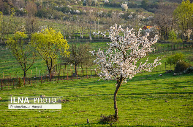 طبیعت بهاری رودبار گیلان