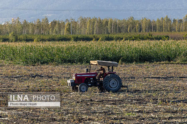 از مزرعه تا صنایع تبدیلی