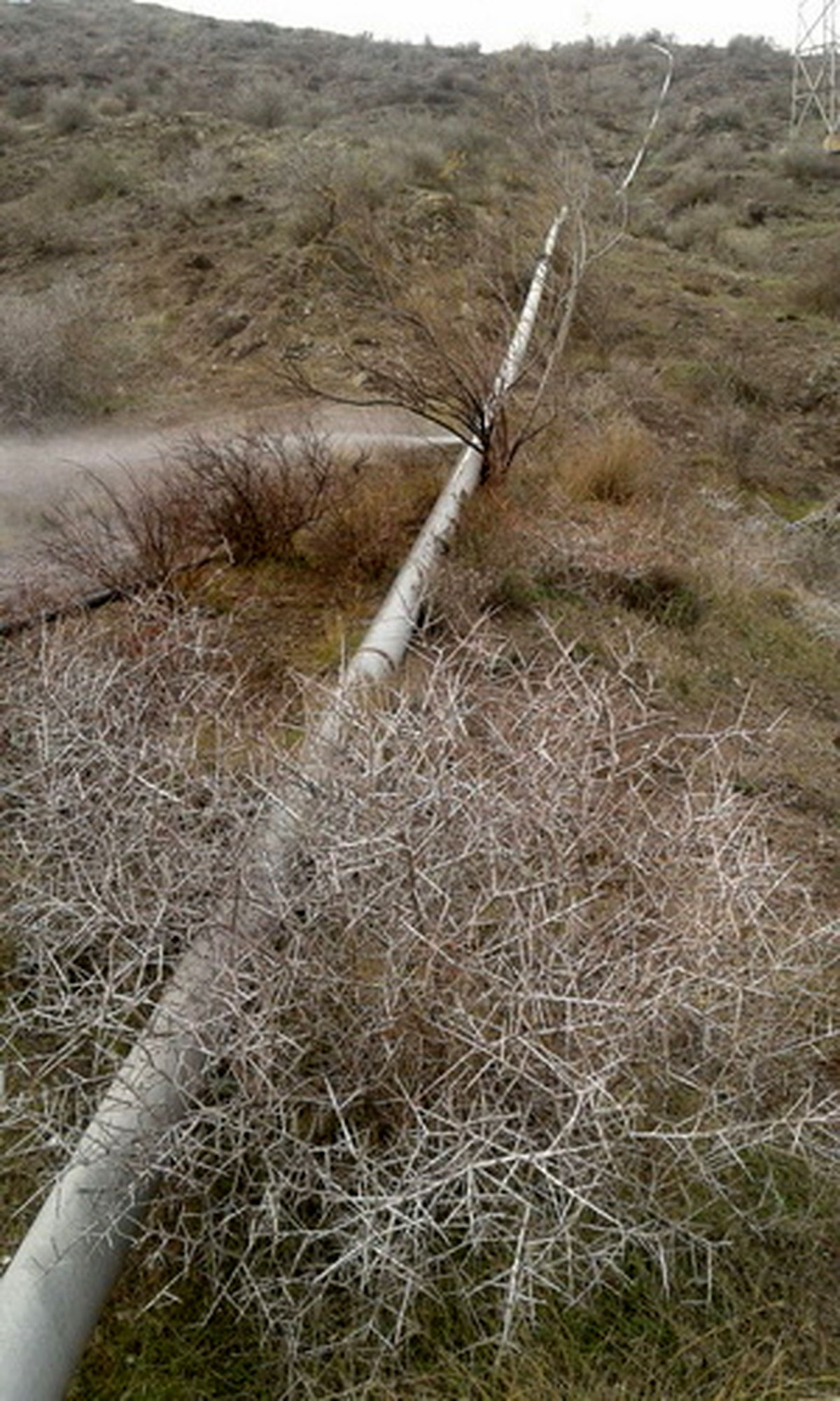 بازسازی شبکه آبرسانی روستای نظامیوند شهرستان رودبار
