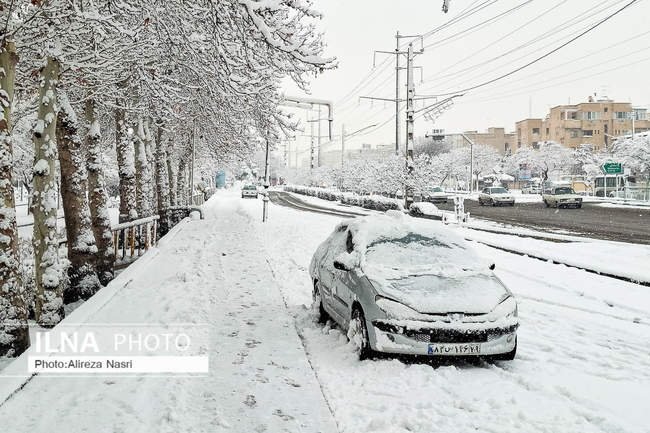 قزوین در آغوش برف به روایت تصویر