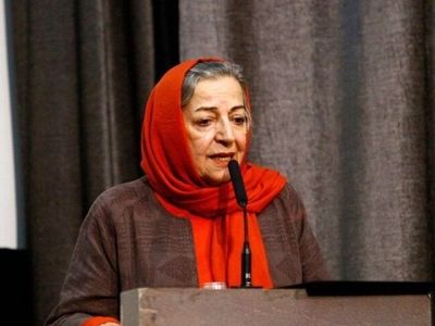 تا تشکیل سازمان نظام سینمایی صنوف خانه سینما در وزارت کار باقی می‌مانند