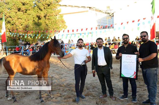 سومین جشنواره زیبایی و شوسواره استان هرمزگان
