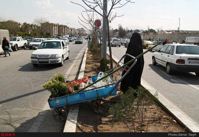 بازار گل و گیاه تهران در آستانه نوروز