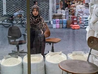 برنج تنظیم بازار به تهران رسید/ توزیع برنج پاکستانی درب مغازه‌