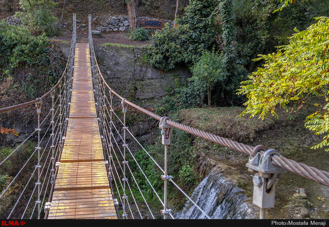 گزارش اختصاصی ایلنا از پاییز در باغ بوتانیکال تفلیس