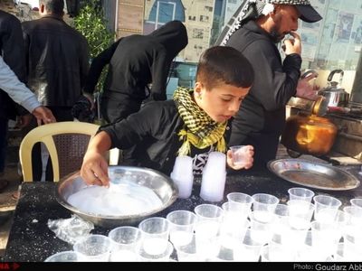 گزارش تصویری از کربلای معلا/ مرکز جاذبه ی زمین، اینجاست