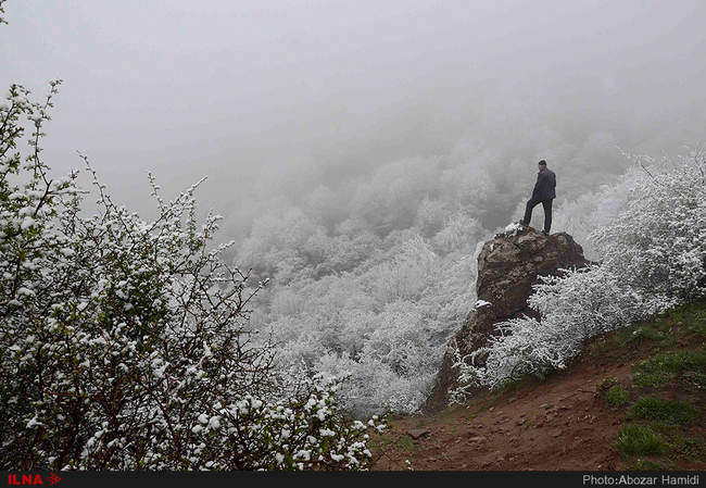 بارش برف بهاری در داماش گیلان