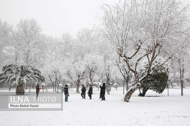 بارش برف در تهران