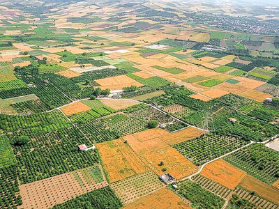 صدور شناسنامه مالکیت برای ۴۷ درصد اراضی کشاورزی/ تاکید بر نظارت مجوزهای فعالیت‌های کشاورزی