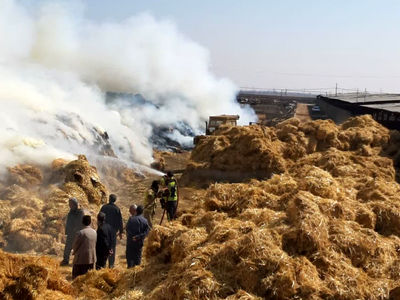 اطفاء آتش‌سوزی گسترده در یک گاوداری خاکعلی