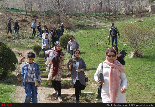 نهال کاری در دامنه کوه آبیدر سنندج 