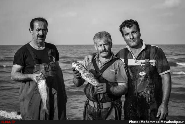 Fishing4