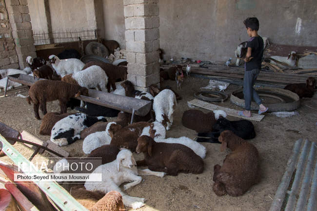 بی آبی ؛ غیزانیه