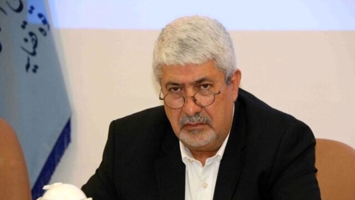 معاون دادستان کل کشور ادعای وجود پنبه در تن ماهی را تکذیب کرد