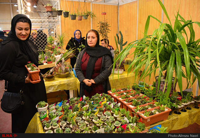 نمایشگاه گل و گیاه در استان قزوین