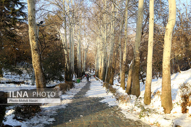 برف زمستانی پارک جمشیدیه