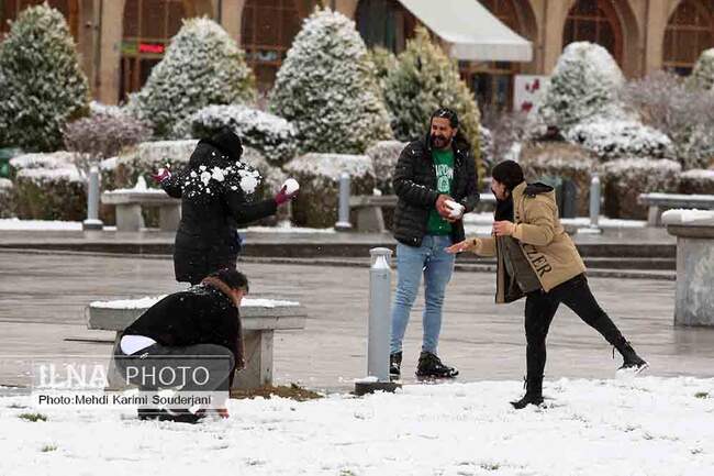IMG_3688 copy