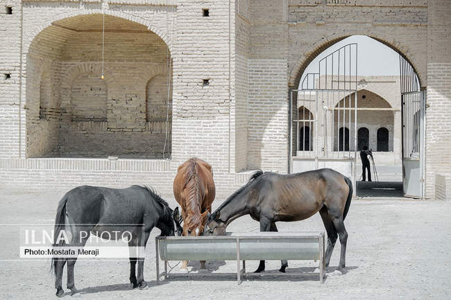 کاروانسرای مادر، گوهری در دل کویر