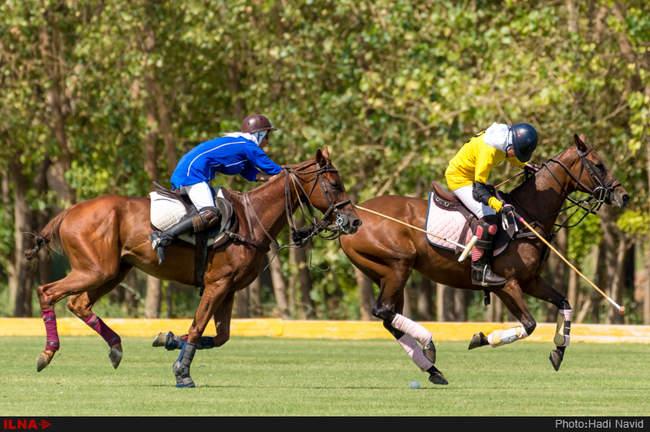 دومین دوره رقابتهای چوگان بانوان «جام شیرین»