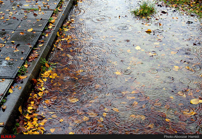 بارش باران در رشت