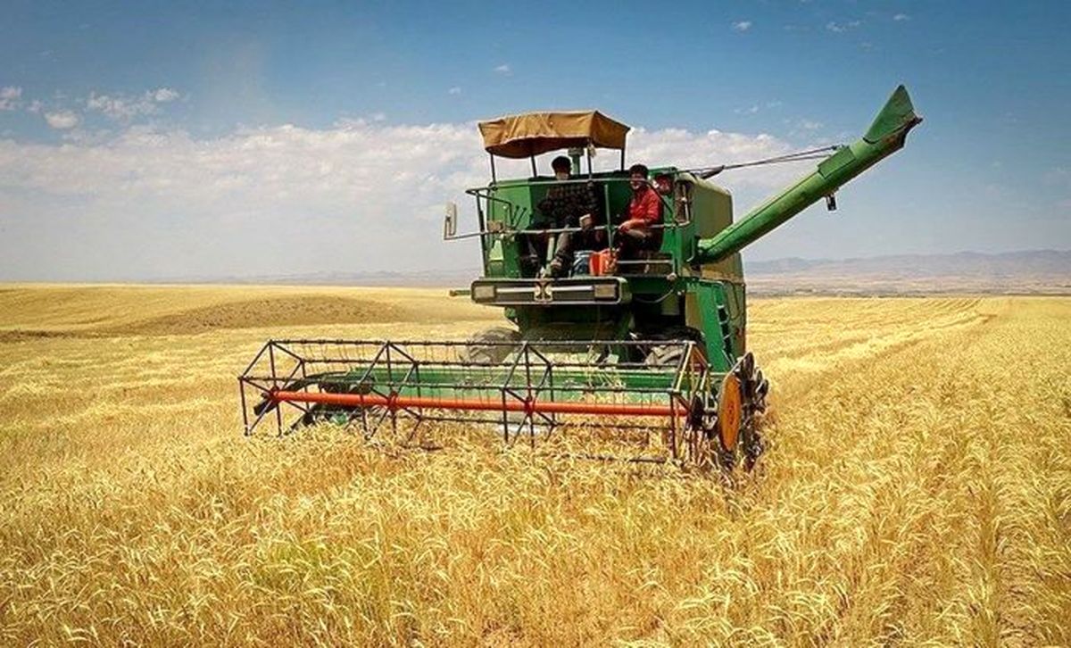 مطالبات گندمکاران در اولین فرصت پرداخت شود