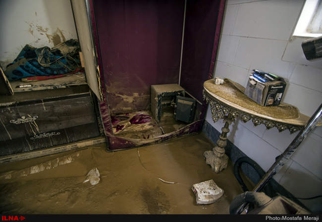 خانه به گل نشسته یک نوعروس؛ دستاورد دیگر شهرداری قم