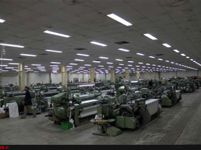 واگذاری کارخانه 15 هکتاری به قیمت 8 میلیارد تومان/ بیکاری 150 کارگر در صورت عدم ورود دستگاه‌های نظارتی