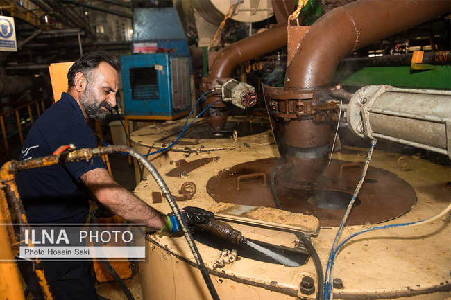 تولید شکر از چغندر قند 