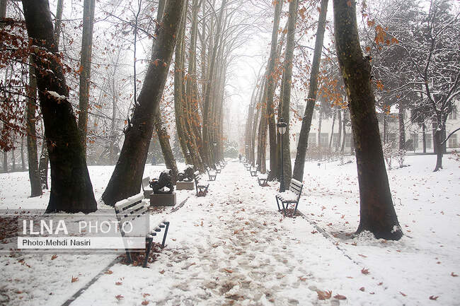 برف زمستانی در سعدآباد