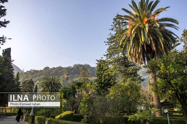 کاخ‌موزه رامسر، دریچه ای به مسیری که پیموده شده