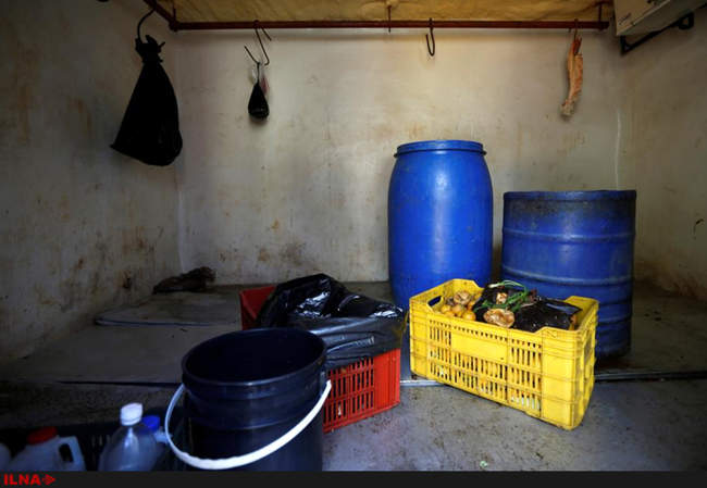 کمبود مواد غذایی در باغ وحش ونزوئلا