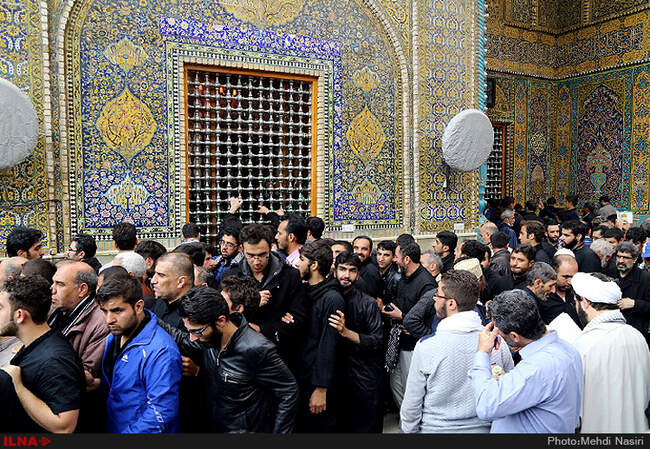 زائران اربعین حسینی در نجف اشرف/4