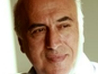 منتقدان حرفه‌ای انگشت شمارند