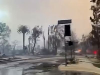 ویدیویی که ایلان ماسک از شدت خرابی‎های ناشی از آتش‌سوزی لس‌آنجلس در صفحه ایکس منتشر کرد