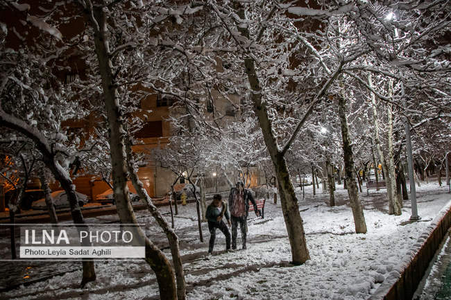 تهران در یک شب سرد برفی