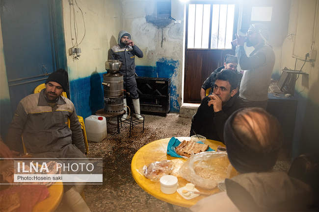 خودکفایی در تولید شیر با تلیسه نمونه