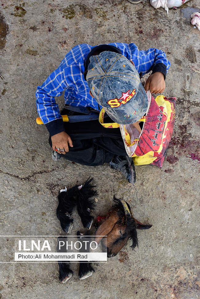 ذبح دام در روز عید قربان