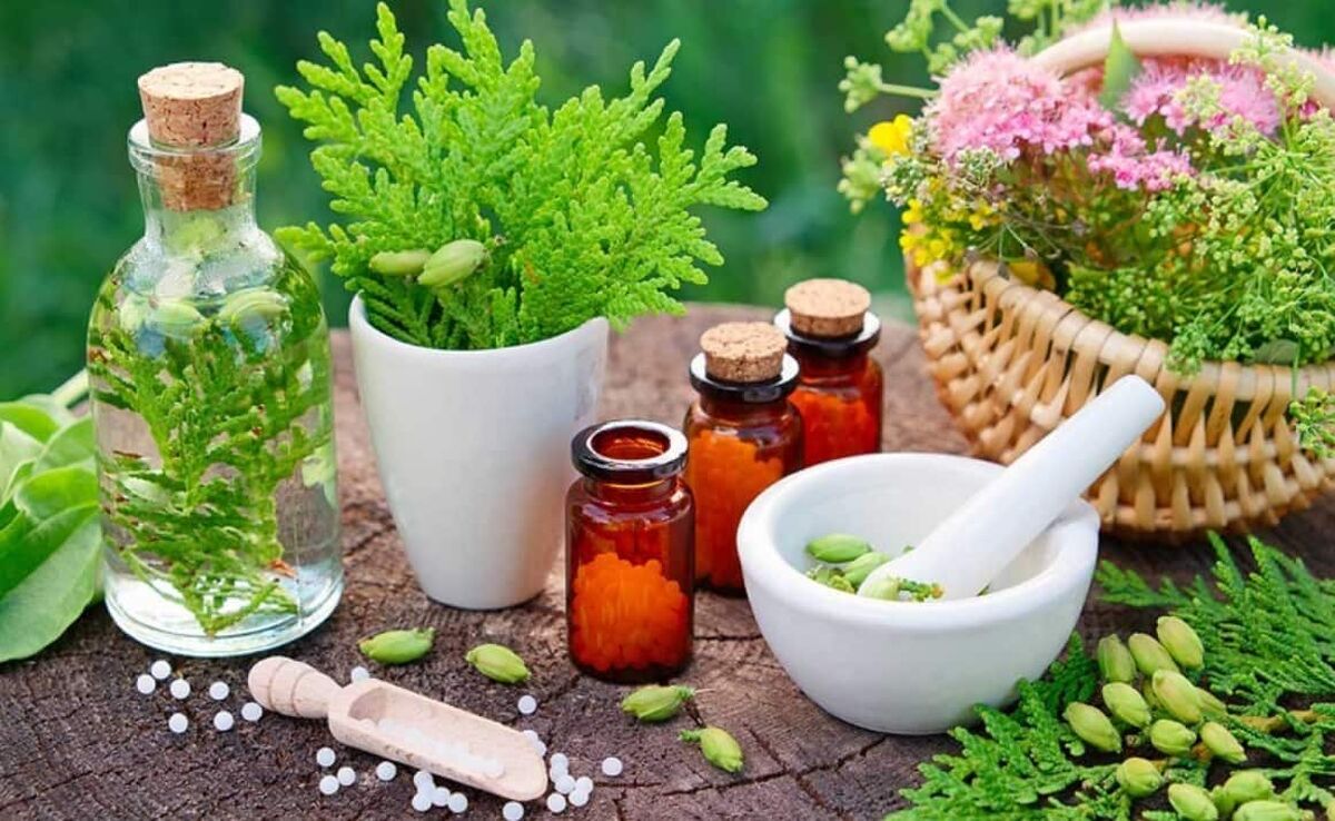 درآمد حاصل از صادرات گیاهان دارویی میتواند جایگزین درآمدهای نفتی شود درآمد حاصل از صادرات گیاهان دارویی میتواند جایگزین درآمدهای نفتی شود