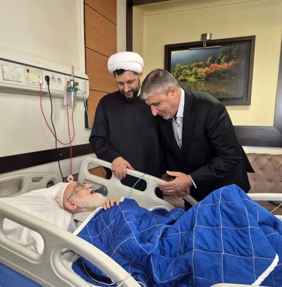 عیادت رئیس سازمان انرژی اتمی از آیت‌الله العظمی نوری همدانی