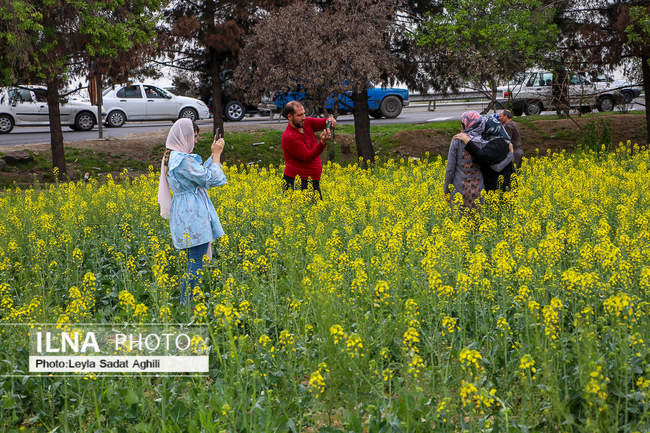 تصمیم نهایی مردم