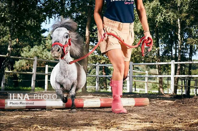 رکوردهای شگفت‌انگیز گینس