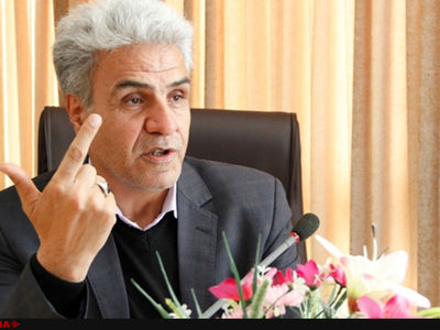 مجلس و دولت دقت لازم را درباره نقش شورایاران ندارند