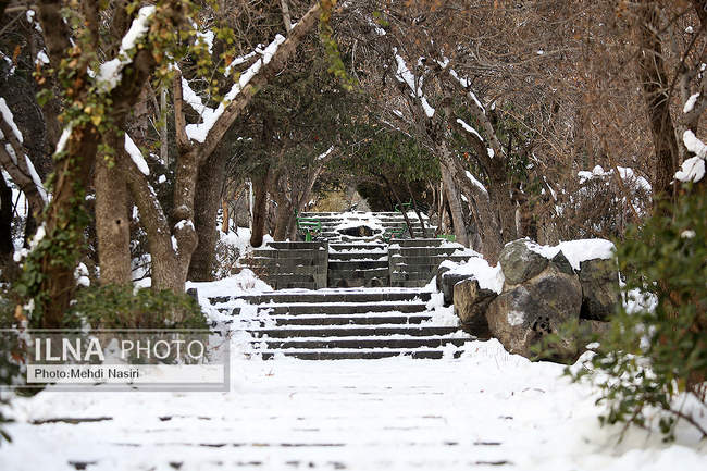 برف زمستانی پارک جمشیدیه