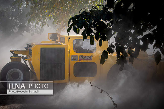 برداشت گردو اصلاح شده با دستگاه مکانیزه 