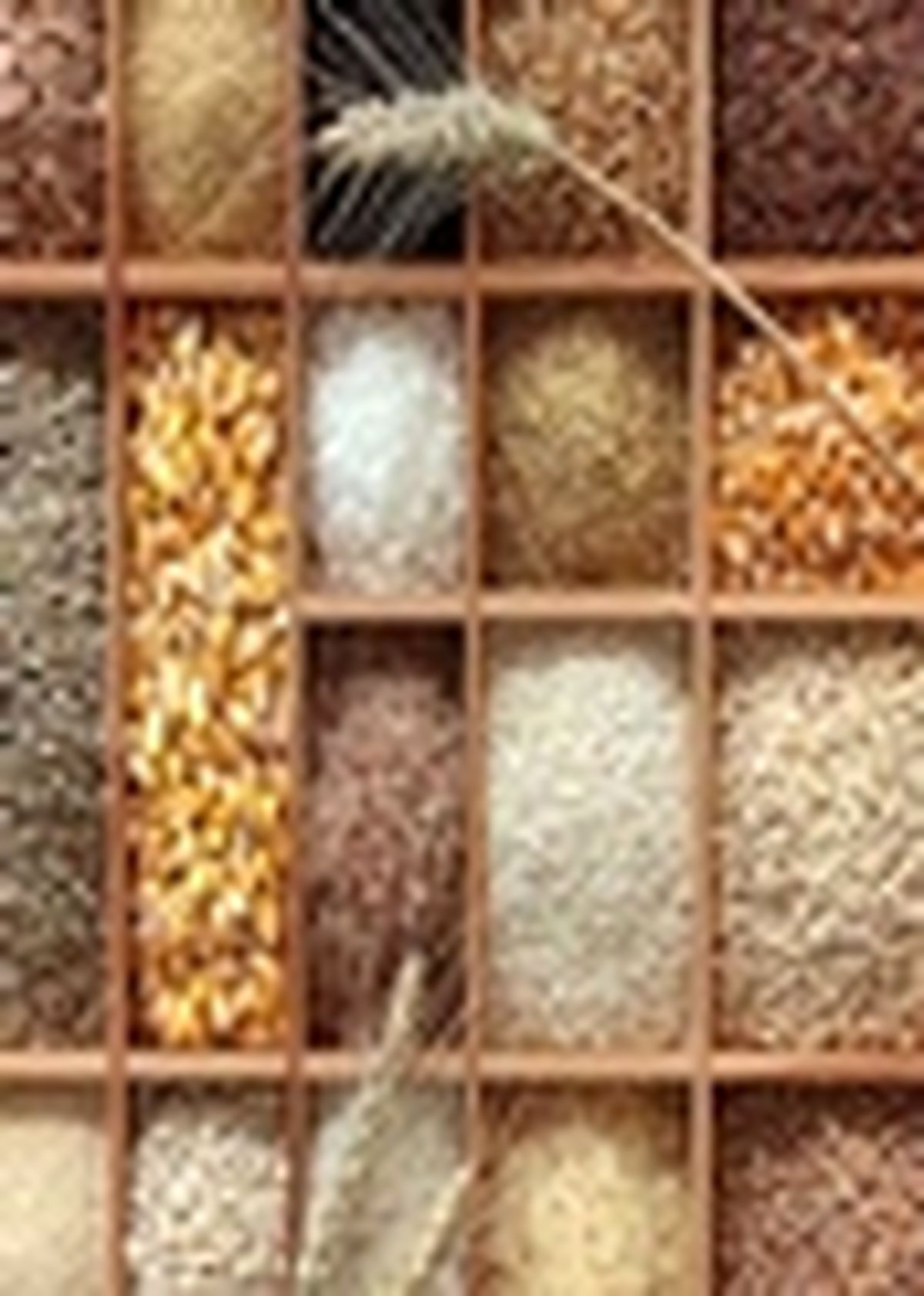 زراعت غلات دانه ریز تا سطح ۲۰۰ هزارهکتار بیمه می‌شود