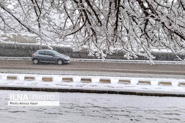 قزوین در آغوش برف به روایت تصویر